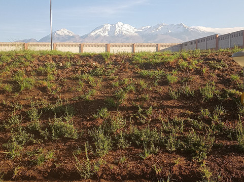 DM Hoteles Arequipa主图