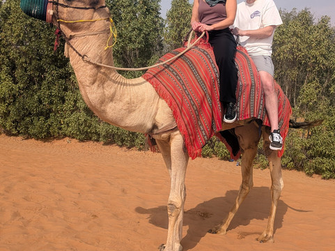 Eagle Tours Dubai-迪拜必去景点