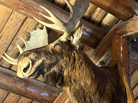 MacBride Museum-白马市必去景点