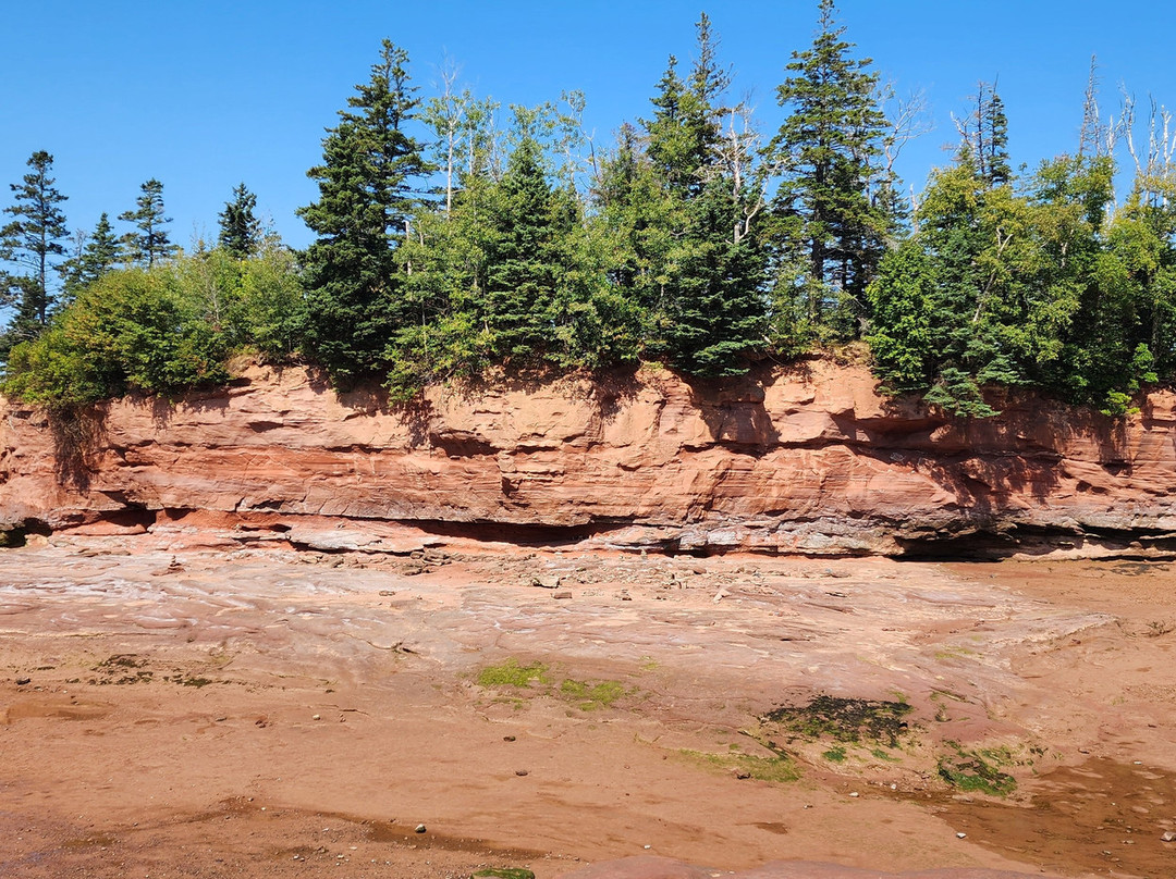 Burntcoat Head Park-Noel必去景点