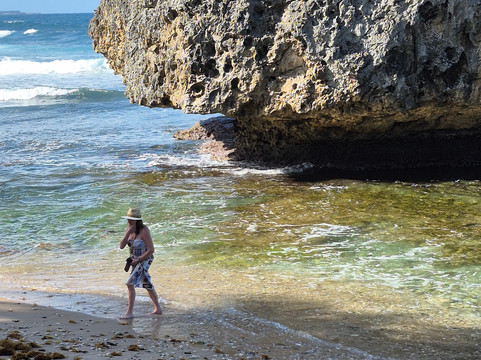 Ted's Tours-Hastings必去景点