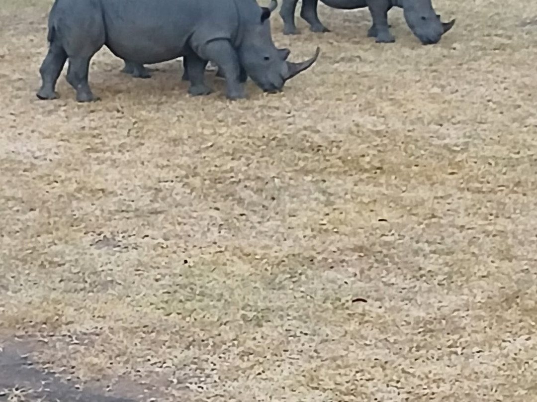 Roadtrip Africa-坎帕拉必去景点