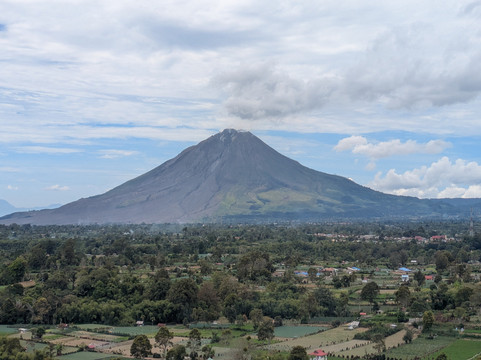 Sumatra Orangutan Explore-武吉拉旺必去景点