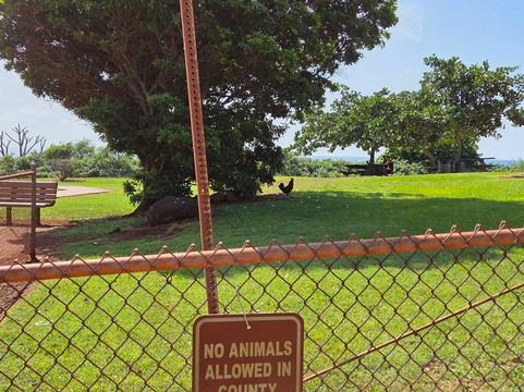 喷水洞-坡伊普必去景点