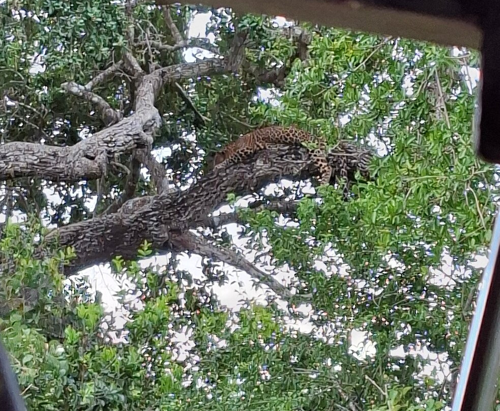 Yala Dreams Wild Safari Tours Sri Lanka-蒂瑟默哈拉默必去景点