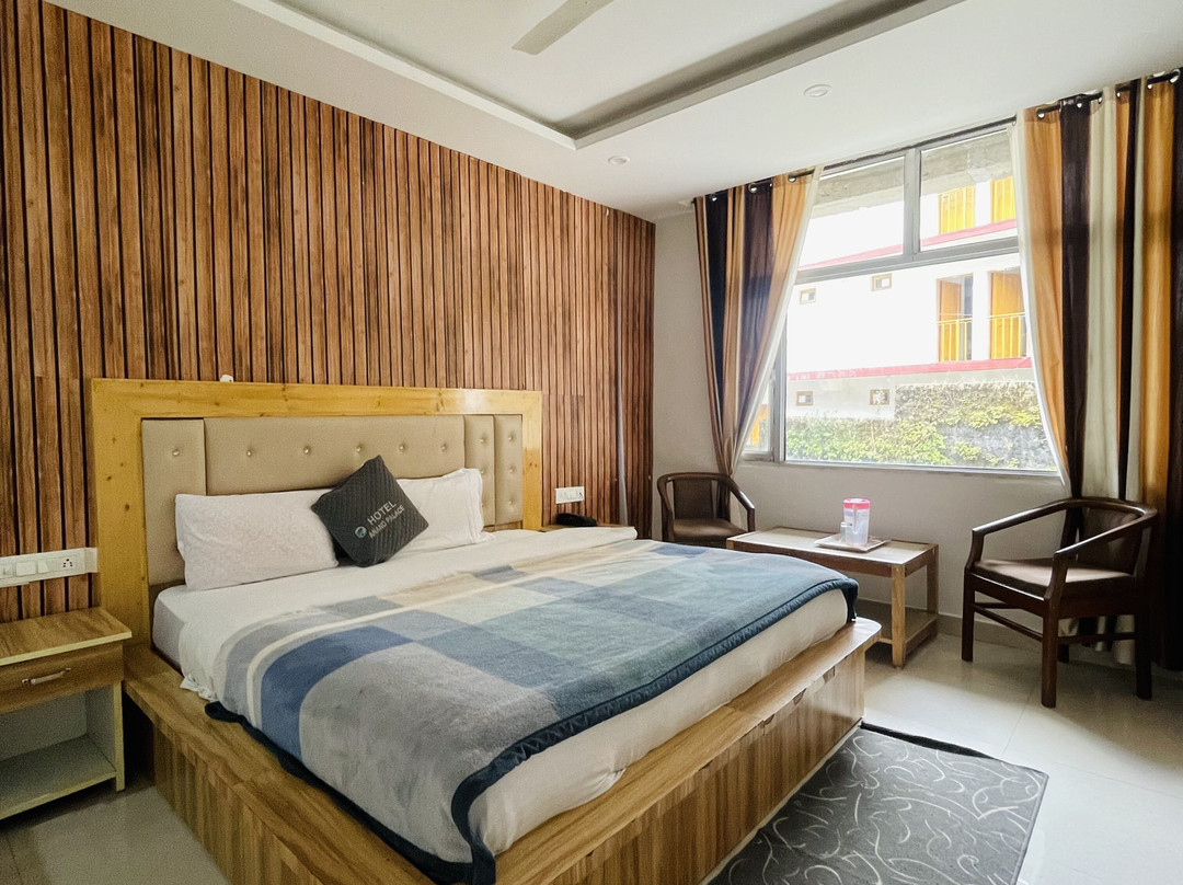 Hotel Anand Palace主图