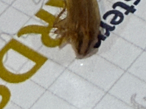 冷水溪贝斯特韦斯特优质酒店主图