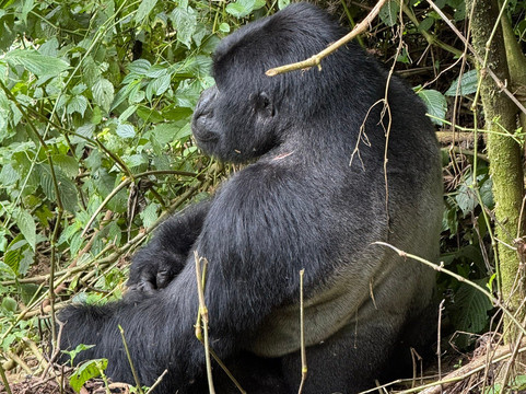Trek Rwenzori Tours-Fort Portal必去景点