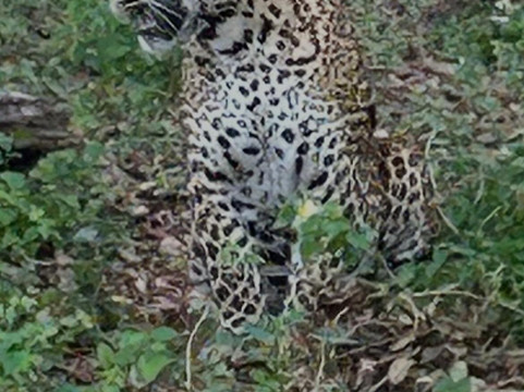 Kura Tours-Horana必去景点