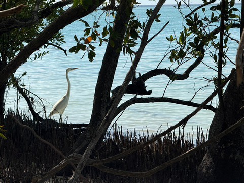 Blue Caribe-艾库玛尔必去景点