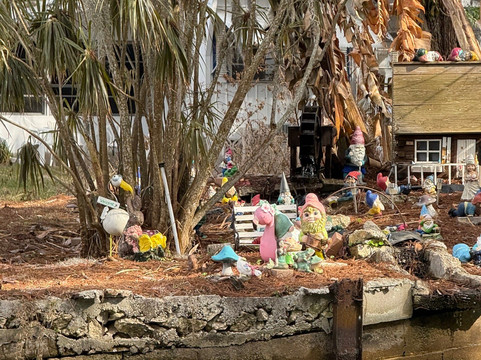 CatBoat Adventure Tours-Mount Dora必去景点