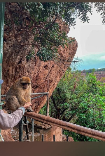 Ouzoud Falls-Ouzoud必去景点
