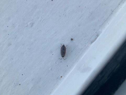 桥梁旅馆酒店主图