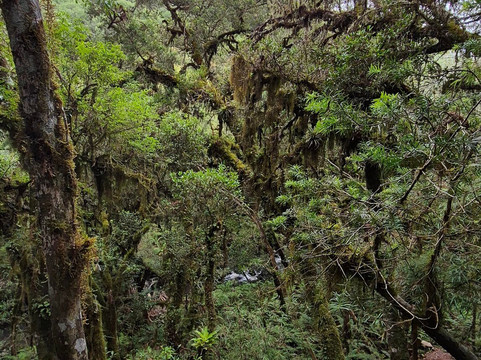 Cachoeira do Tio França-Cambará do Sul必去景点