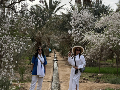 Morocco Travel Organizer-非斯必去景点