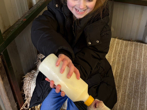 Church Farm Ardeley-斯蒂夫尼奇必去景点