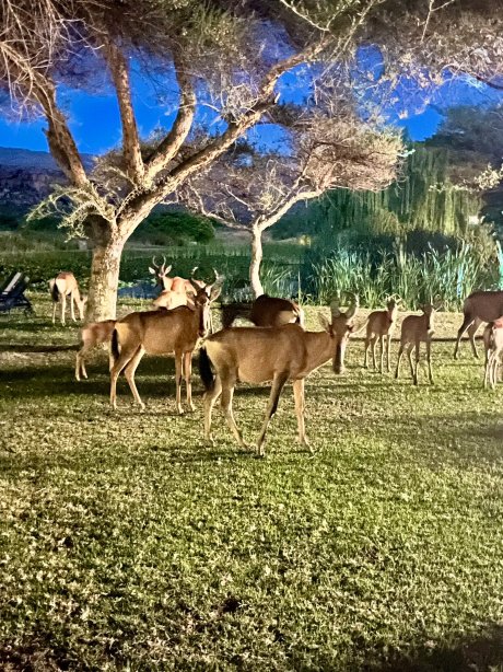 布什曼斯克卢夫郊区酒店-官方