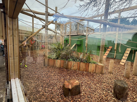 Welsh Mountain Zoo-科尔温湾必去景点