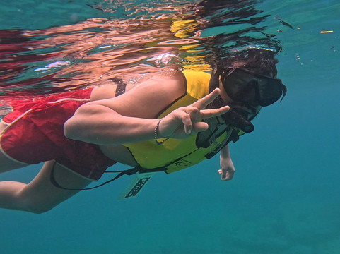 Vieques Snorkel Tours-维切克岛必去景点