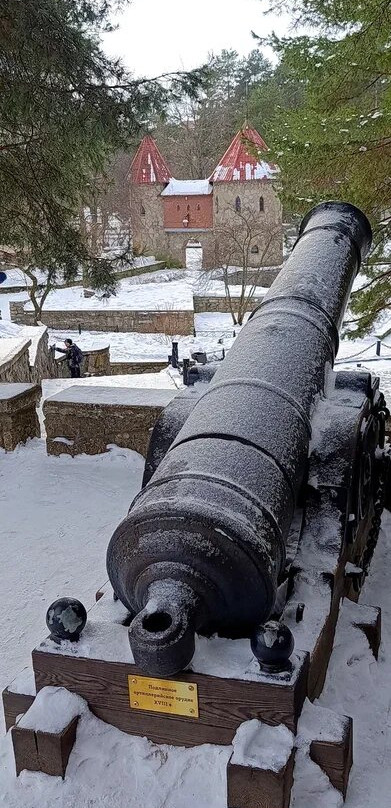 Andersongrad-Sosnovy Bor必去景点