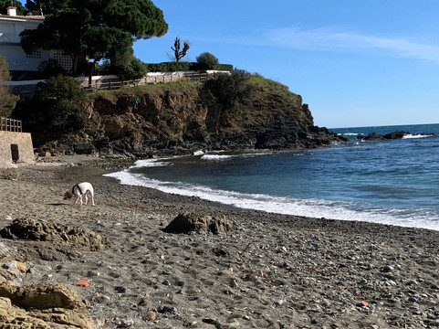 Isla Castela-Llanca必去景点