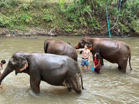 Loolu Tour - Private Day Tours-清迈必去景点