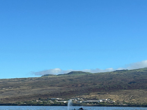 Liquid Hawaii-普阿克必去景点