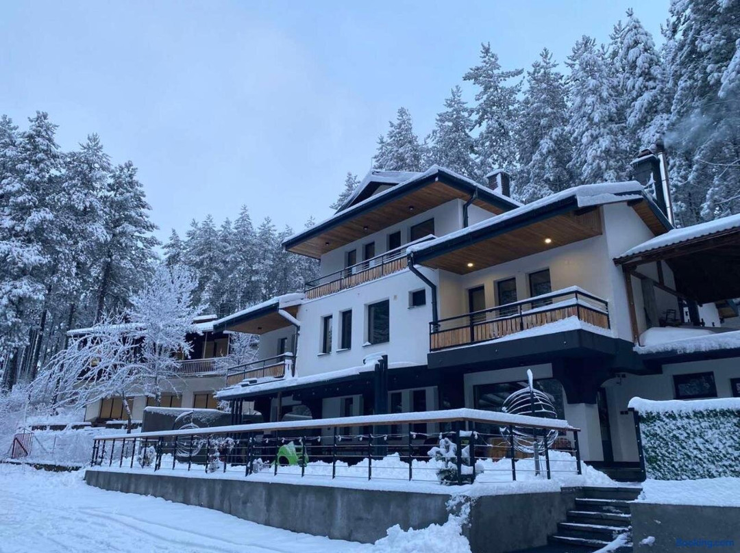 Vila Aspen - Mountain View Apartments