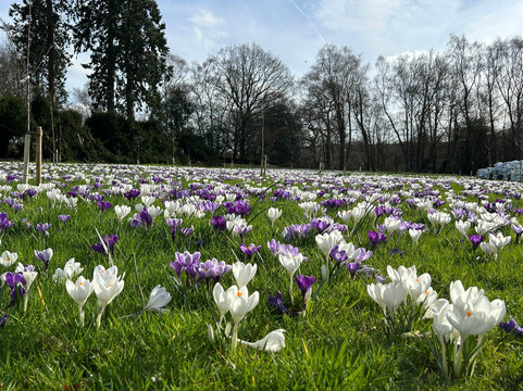 Shugborough-斯塔福德必去景点