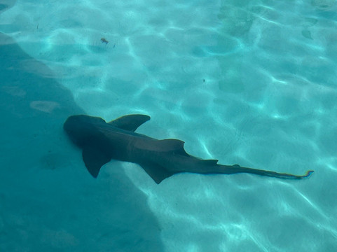 Aquaquest Escapes-George Town必去景点