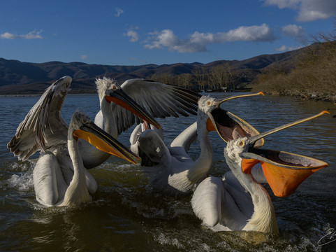 Greece Bird Tours-Marathon必去景点