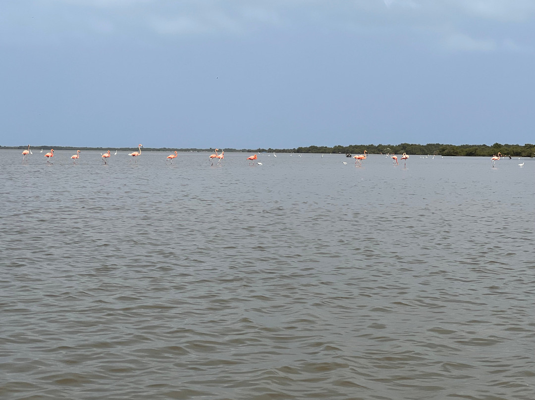 Alma Guajira-Riohacha必去景点