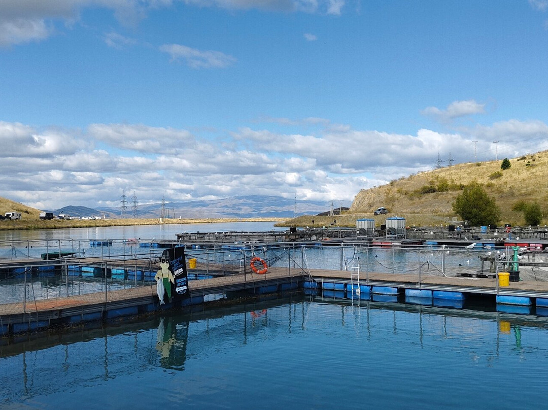 国宴三文鱼餐厅-特威泽尔必去景点