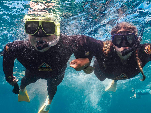 Ningaloo Reef Dive & Snorkel-珊瑚湾必去景点