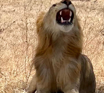 Eden Tours and Travel-桑给巴尔岛必去景点