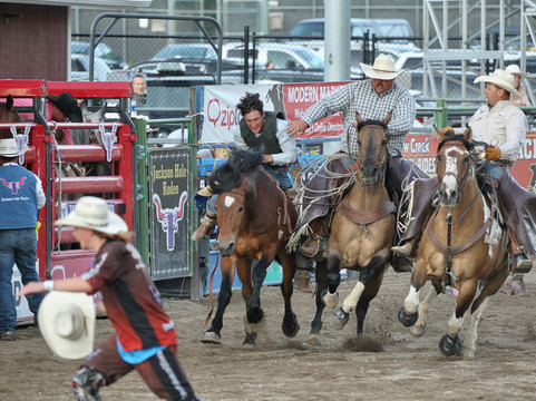 Jackson Hole Rodeo-杰克逊必去景点