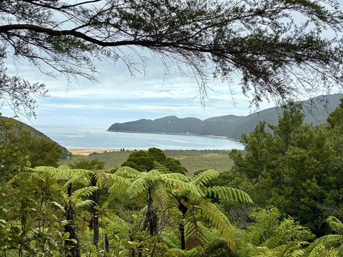 Abel Tasman Sea Shuttle Ltd-莫图伊卡必去景点