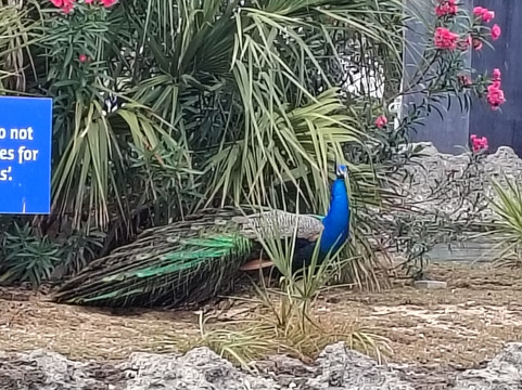 Joe Tourist Outdoor Adventures-乔治城必去景点