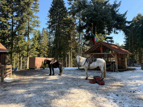 Horse Riding With Butch-波罗维兹必去景点
