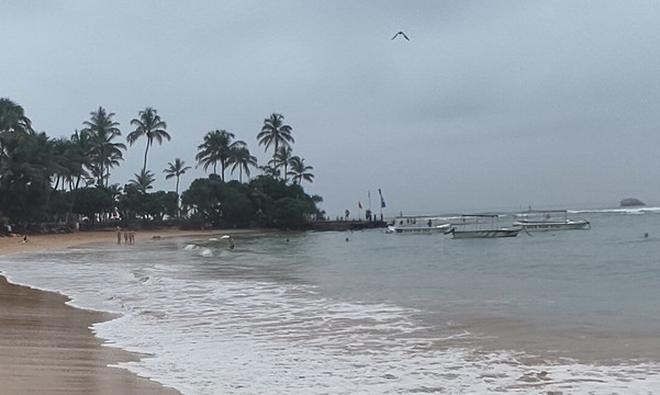 Turtle Beach-希克杜沃必去景点