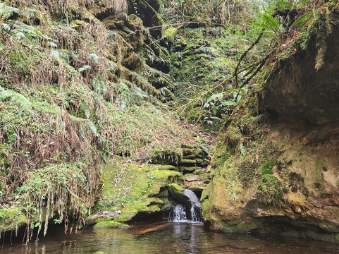 3 Sisters Adventure Trekking-博卡拉必去景点