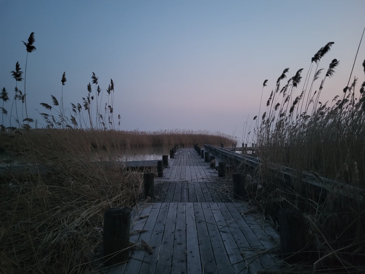 尼尔斯湖畔 - 限成人-官方