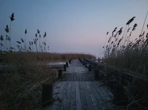 尼尔斯湖畔 - 限成人主图