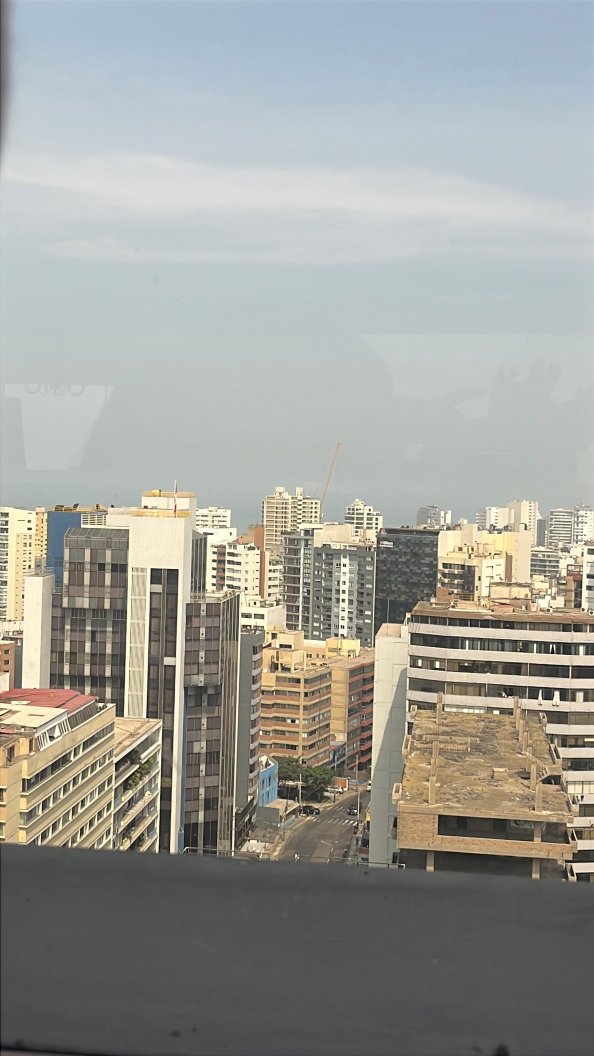 米拉弗洛雷斯高级酒店-官方