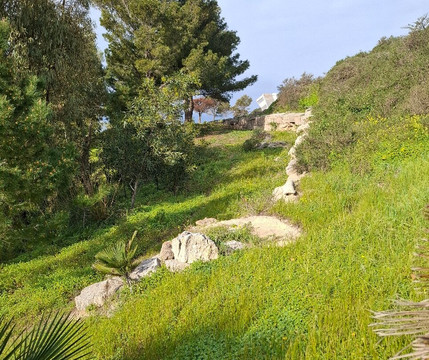 Eraclea Minoa-阿格里真托必去景点