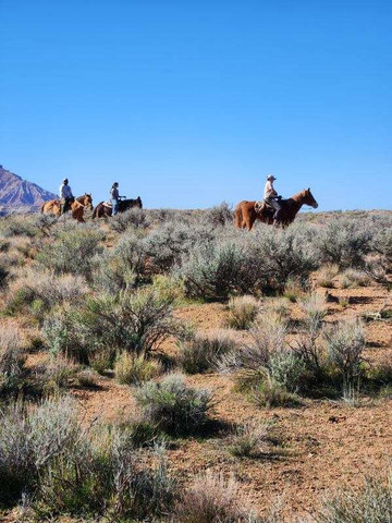 Shelleys Custom Horse Tours-Virgin必去景点