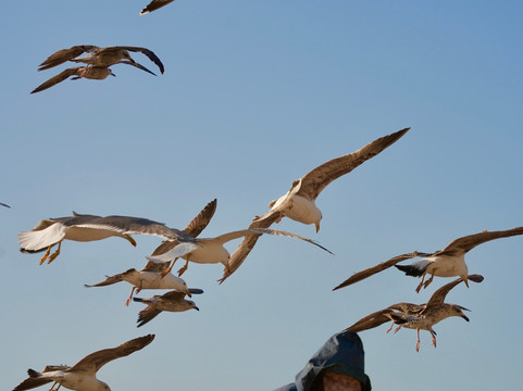 Medloc Maroc-马拉喀什必去景点