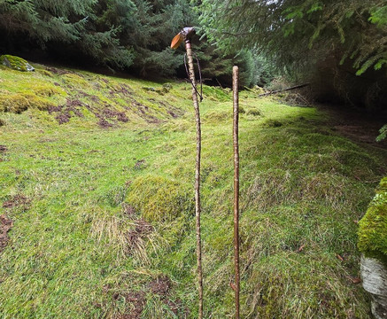 The Birks of Aberfeldy-Aberfeldy必去景点