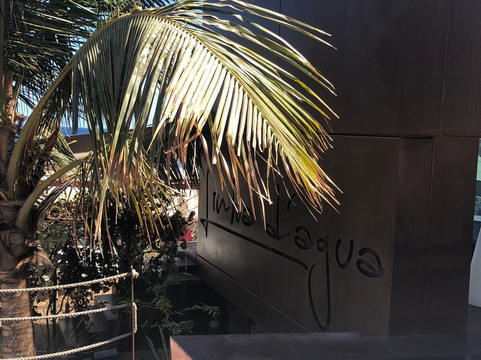 Prainha Beach-培亚必去景点