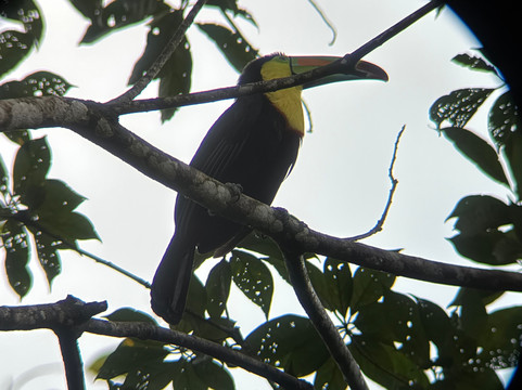 Allan Explorer-Upala必去景点